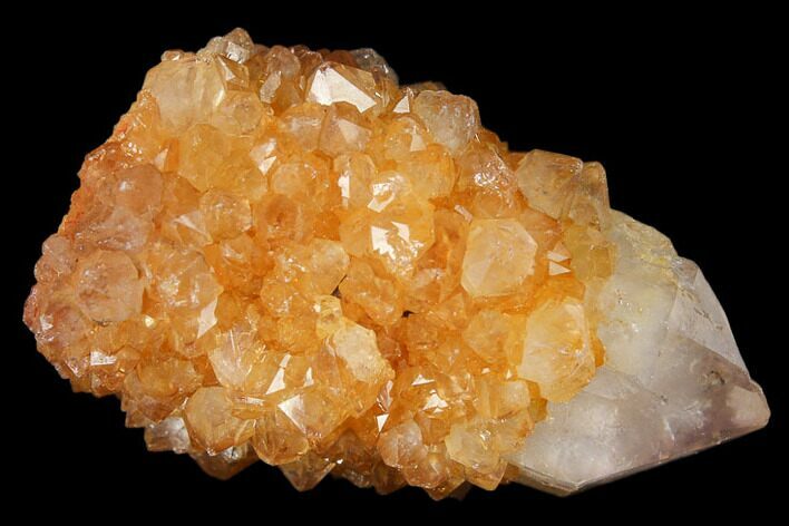 Sunshine Cactus Quartz Crystal - South Africa #122297